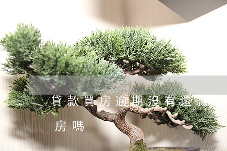 貸款買房逾期沒有還款(逾期已還清能貸款買房嗎)