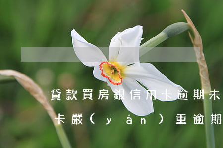 貸款買房銀信用卡逾期未還(房貸沒逾期信用卡嚴(yán)重逾期)