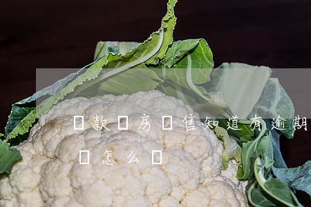 貸款買房銷售知道有逾期(貸款買房有逾期記錄,怎么辦)