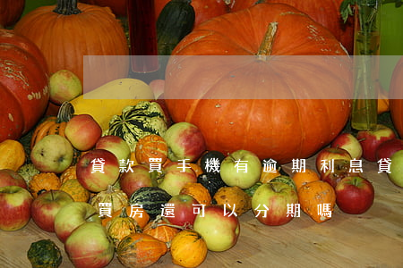 貸款買手機有逾期利息(貸款買手機逾期以后買房還可以分期嗎)