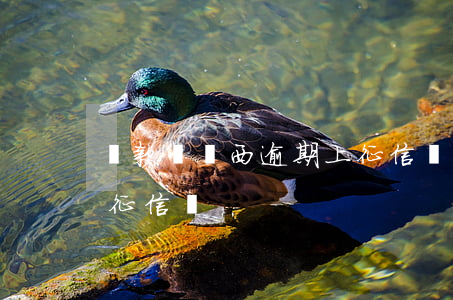 貸款買東西逾期上征信嗎(借貸app逾期上征信嗎)