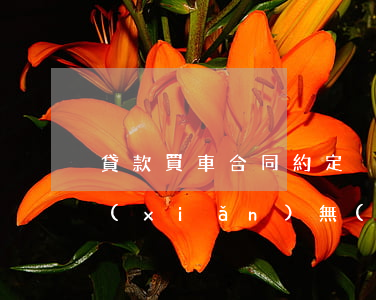 貸款買車合同約定強(qiáng)制保險(xiǎn)無(wú)效