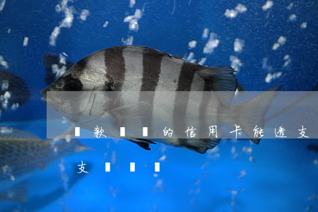 貸款買車的信用卡能透支嗎(可以用信用卡透支買車嗎)