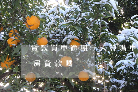 貸款買車逾期一天算嗎(車貸逾期一天影響買房貸款嗎)