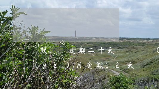 貸款買車逾期二十天(車貸連續(xù)三個(gè)月逾期12天)