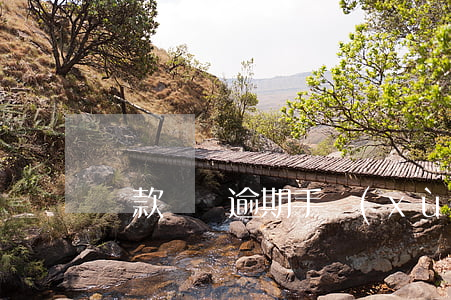 貸款買車逾期手續(xù)費多少