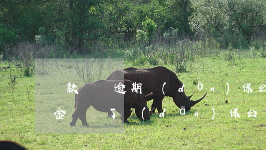 貸款買車逾期擔(dān)保公司(車貸逾期金額還了擔(dān)保公司應(yīng)當(dāng)還車嗎?)