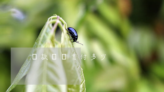 貸款買車首付多少