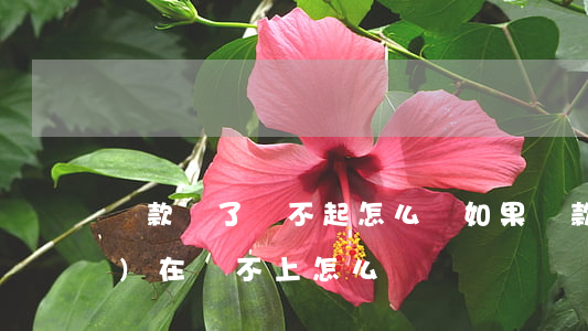 貸款貸了還不起怎么辦 如果貸款實(shí)在還不上怎么辦