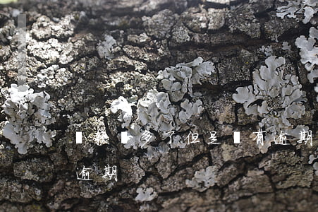 貸款貸多了但是沒有逾期(貸款記錄多但沒有逾期)