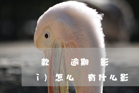 貸款賬戶逾期辦影響嗎(貸款有逾期會(huì)怎么樣 有什么影響?)