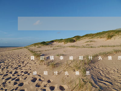貸款購車逾期什么意思(車貸狀態(tài)逾期什么意思)