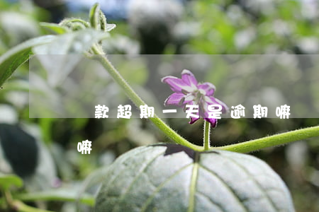 貸款超期一天是逾期嘛(貸款超期一天是逾期嘛)