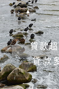貸款超過(guò)幾個(gè)月算逾期(貸款多久算逾期)