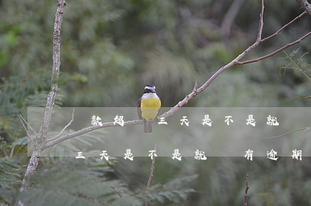 貸款超過三天是不是就會有逾期-貸款超過三天是不是就會有逾期記錄