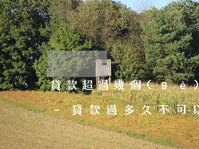 貸款超過幾個(gè)月會(huì)起訴-貸款過多久不可以起訴