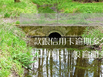 貸款跟信用卡逾期多久,銀行會(huì)起訴（信用卡一般逾期多久才會(huì)真的起訴）