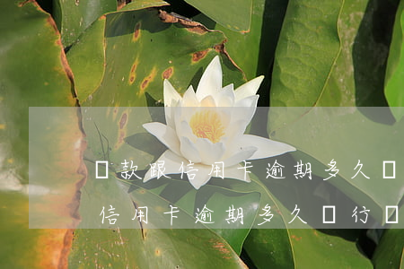 貸款跟信用卡逾期多久,銀行會起訴-貸款跟信用卡逾期多久,銀行會起訴我