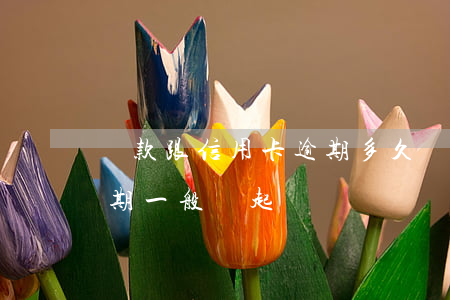 貸款跟信用卡逾期多久,銀行會起訴（信用卡逾期一般會起訴嗎）