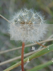 貸款車(chē)逾期被扣車(chē)合法嗎(車(chē)貸逾期多久會(huì)被扣車(chē))