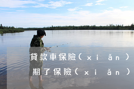 貸款車保險(xiǎn)能逾期多久(車貸逾期了保險(xiǎn)可以理賠嗎)