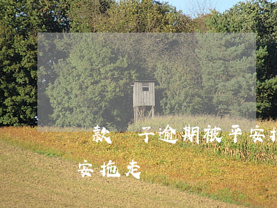 貸款車子逾期被平安拖走(貸款車子逾期被平安拖走)