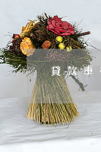 貸款車有逾期能檢車么(逾期檢車怎么辦)