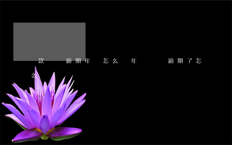 貸款車輛逾期年檢怎么辦(年檢車輛逾期了怎么辦)