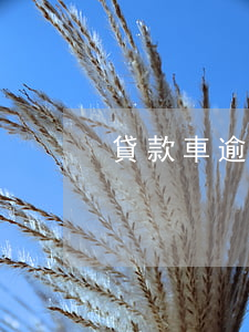貸款車逾期被扣押了