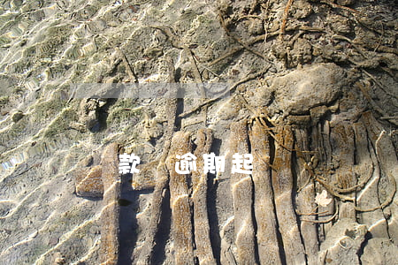 貸款車逾期起訴傳單