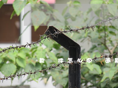 貸款軟件怎么申請逾期