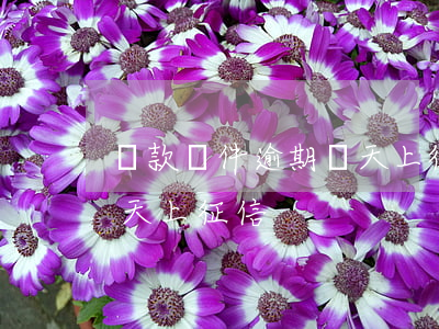貸款軟件逾期幾天上征信(銀行貸款逾期多少天上征信)