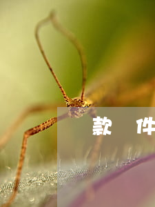 貸款軟件逾期短信轟炸(貸款恐嚇短信)