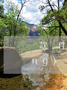 貸款軟件逾期能出國(guó)嗎(網(wǎng)貸逾期能出國(guó)嗎)