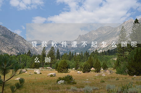 貸款軟件還不起怎么辦呢（貸款軟件還不起怎么辦）
