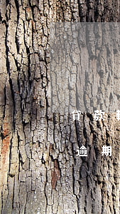 貸款轉(zhuǎn)逾期是什么情況(貸款逾期被上報(bào)了怎么辦)