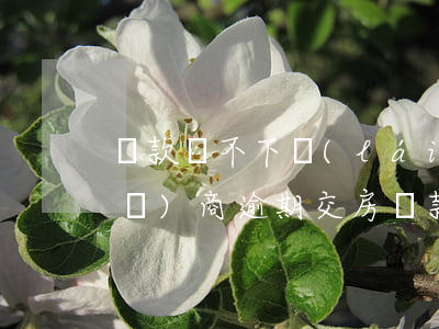 貸款辦不下來(lái)逾期交房(開發(fā)商逾期交房,貸款怎么辦)