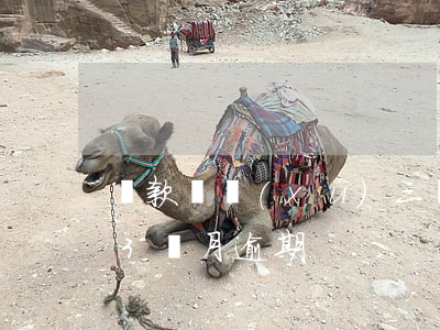貸款連續(xù)三個月逾期(連續(xù)3個月逾期)