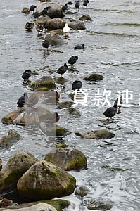 貸款連續(xù)逾期2次不還