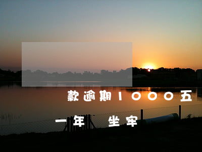 貸款逾期1000五個月(貸款5000逾期一年會坐牢)