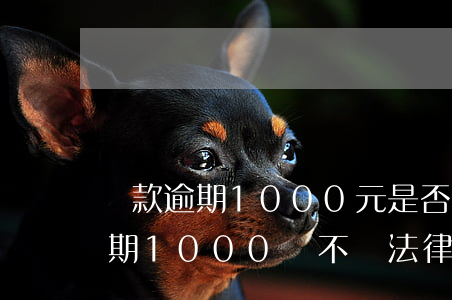 貸款逾期1000元是否通過法律-貸款逾期1000會不會法律催收函