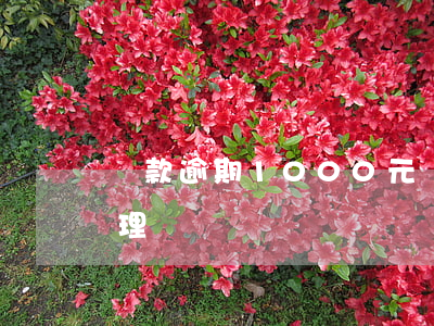 貸款逾期1000元(貸款逾期幾百塊怎么處理)