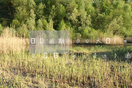 貸款逾期100天沒(méi)上征信(100塊錢(qián)逾期上征信)