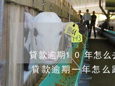 貸款逾期10年怎么去協(xié)商還款(貸款逾期一年怎么跟銀行協(xié)商)