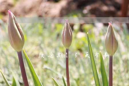 貸款逾期15天有事嗎(貸款逾期10天)