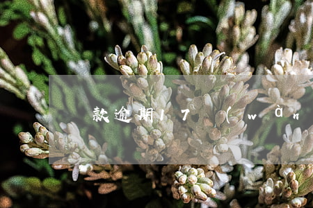 貸款逾期17萬(wàn)征信