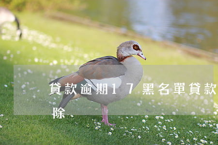 貸款逾期17黑名單(貸款逾期黑名單怎么解除)