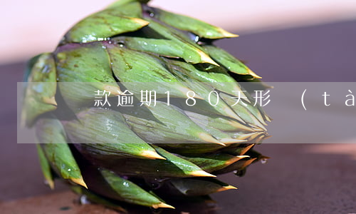 貸款逾期180天形態(tài)