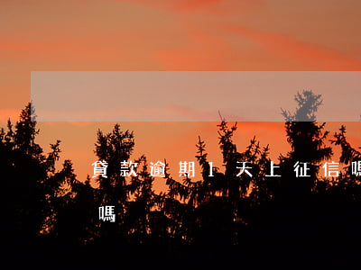 貸款逾期1天上征信嗎(貸款逾期一天上征信嗎)