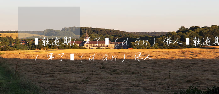 貸款逾期1年了擔(dān)保人(貸款逾期1年了擔(dān)保人)